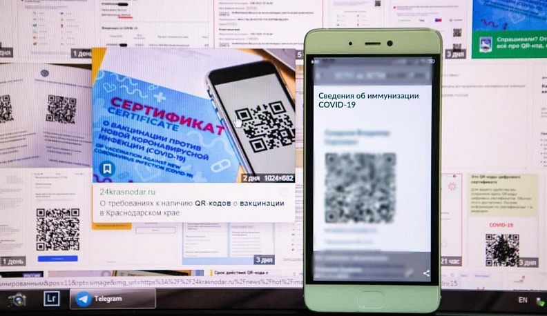 В Госдуму внесли два законопроекта на введение QR-кодов для посещения общественных мест 