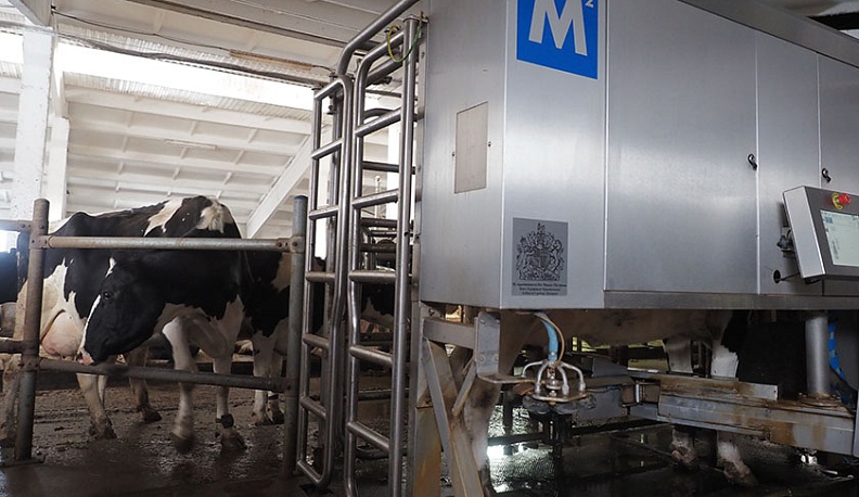 В Калужской области растут объёмы производства молока