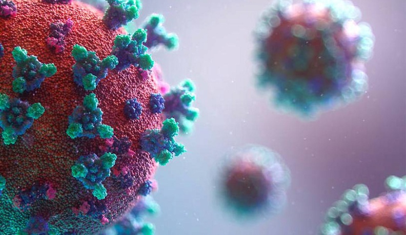 В Калужской области подтвердили два новых летальных исхода от COVID-19