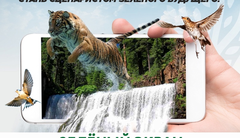 Калужан приглашают на конкурс социальных видеороликов «Зелёный экран»