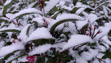 В Калуге ожидается снег с дождём и гололедица