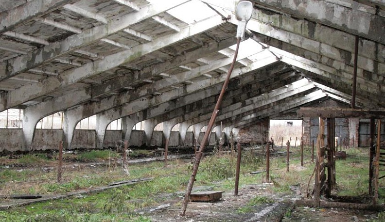 Горькое инвестиционное послевкусие 