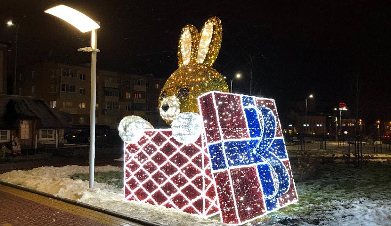 Калужских волонтеров задействуют на новогодних мероприятиях по пяти направлениям