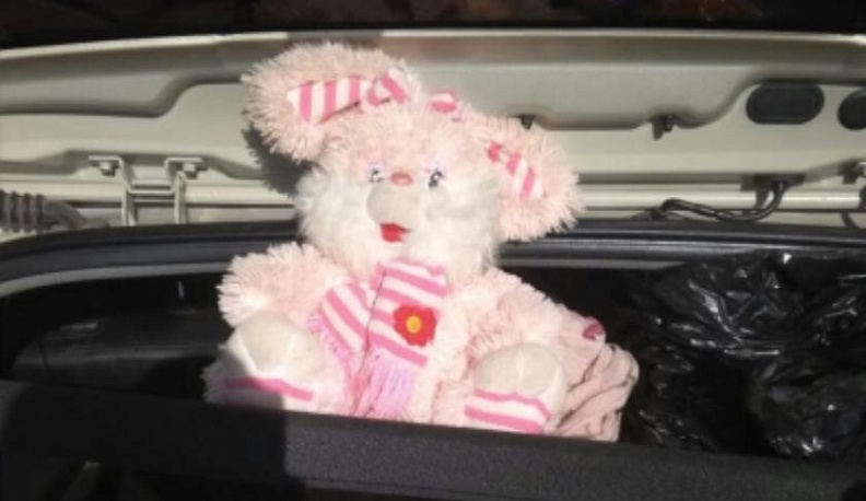 Калужанку задержали с плюшевым зайцем, набитым наркотиками