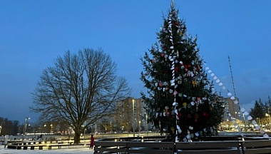 В Обнинске откроется новогодняя ярмарка «Дуб и Ёлка»