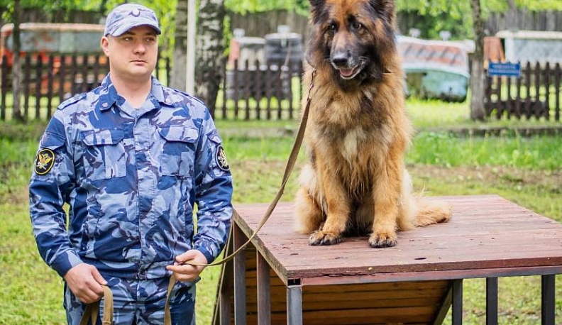 21 июня кинологи УИС отмечают свой профессиональный праздник