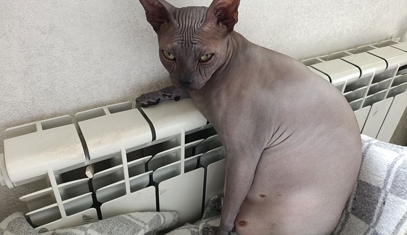 Вложения в модернизацию коммунальной инфраструктуры Калужской области доказали свою результативность