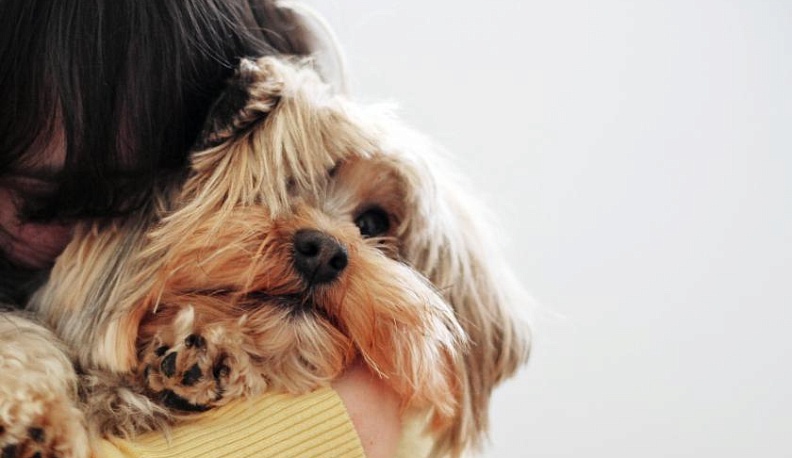 В Калуге нашли пропавшую 21-летнюю девушку с собачкой