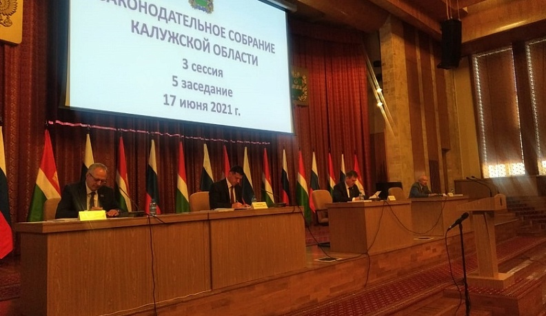 Калужане имеющие второе гражданство или вид на жительство в другом государстве не смогут избираться депутатами и работать на госслужбе