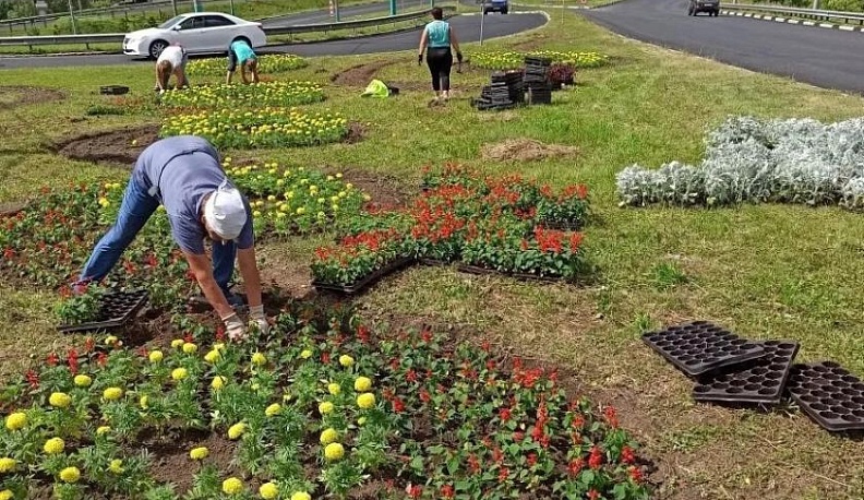 Улицы Калуги украшают цветами