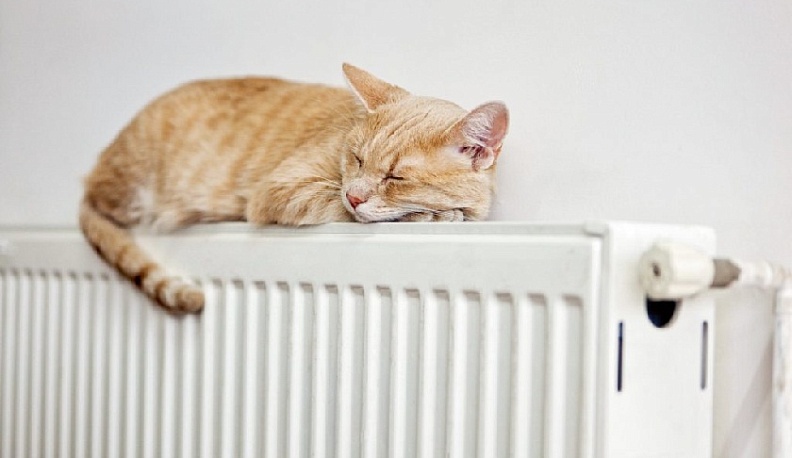 Калуга готовится к зиме