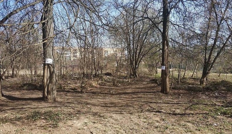 Залежалую свалку в Кондрове начали убирать через час после поста в соцсети