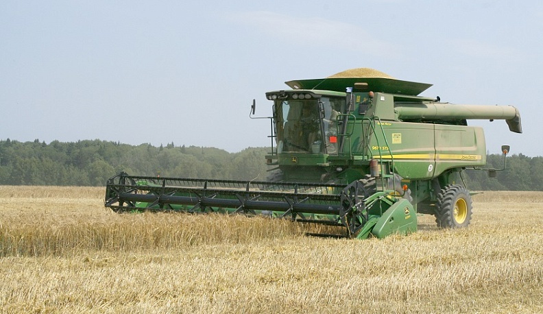 Производство зерна в Калужской области выросло на 115% к прошлому году