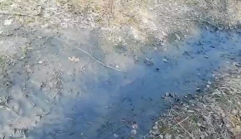  В Калужской области прокуратура проверяет обстоятельства слива красителей в ручей