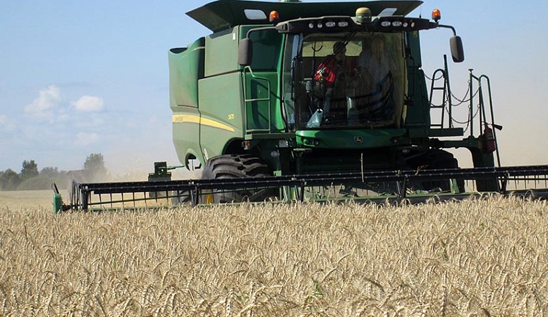 Калужские аграрии уже намолотили 6 тонн зерна