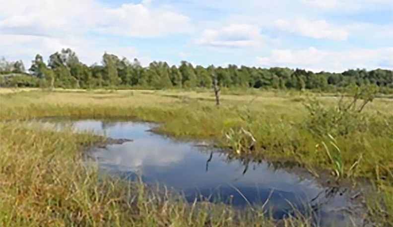 Экологи презентовали пять новых особо охраняемых природных территорий