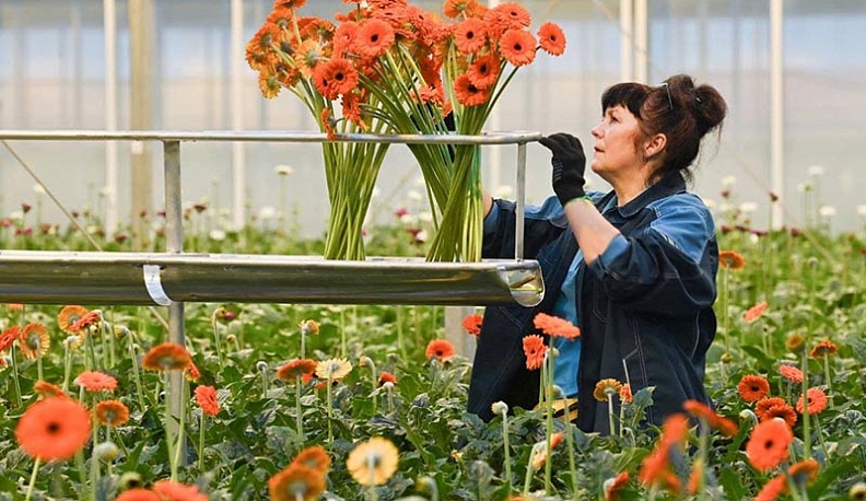 В Калужской области открылась цветочная компания
