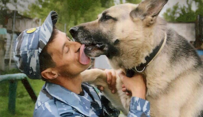 Дай лапу, напарник!