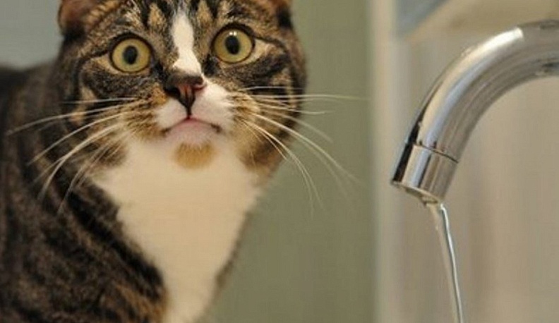 Из-за аварийных работ на трех улицах Калуги завтра весь день не будет воды