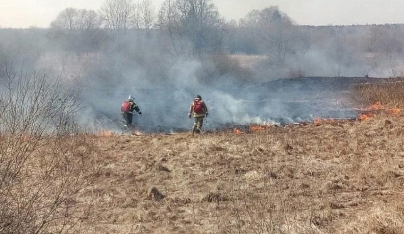 Пал – значит, пропал? 