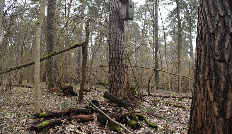 Пером? Топором?