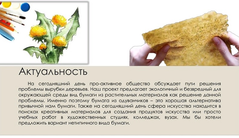 Калужские школьники покорили международное экологическое жюри