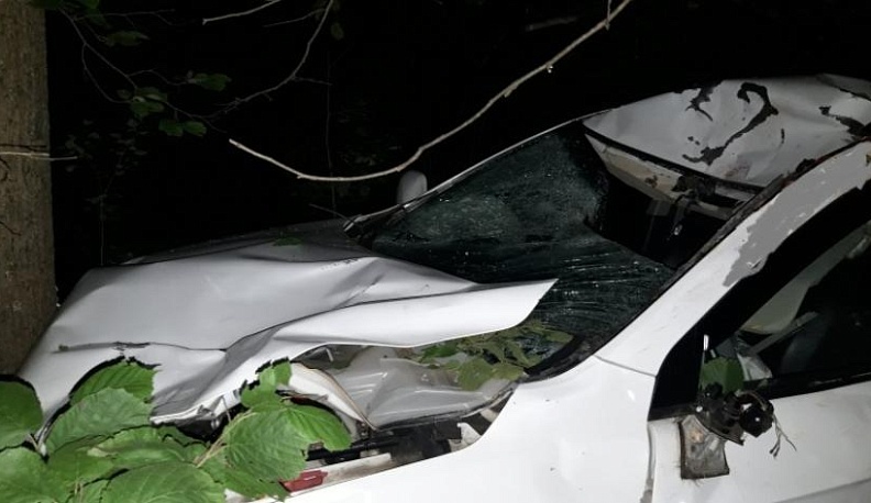 У Больших Козлов иномарка сбила лося