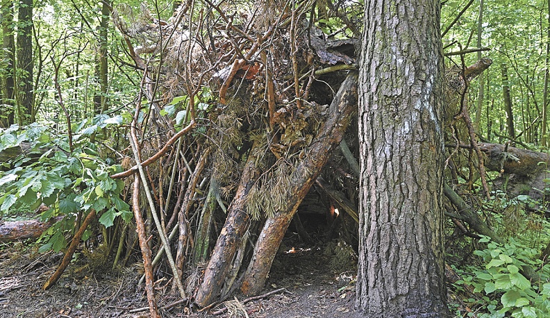 Эффект лешего