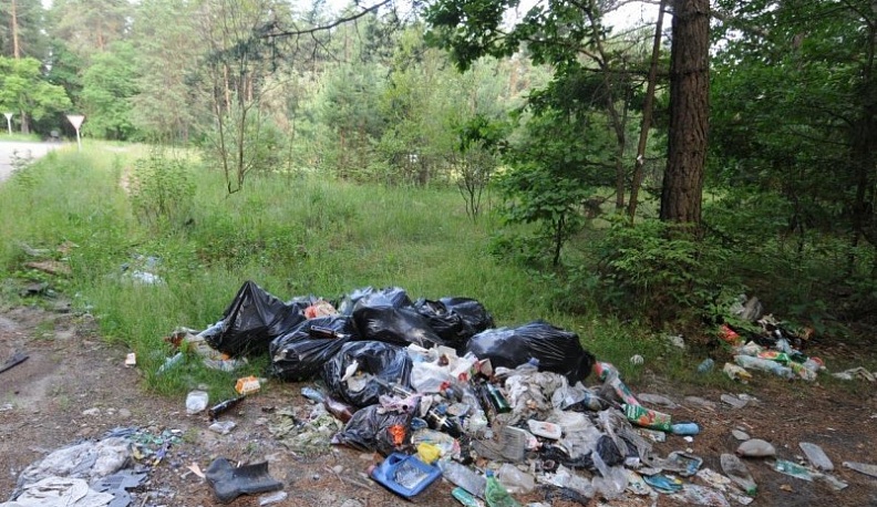 Калужская прокуратура проведёт горячую линию по жалобам на свалки в лесах