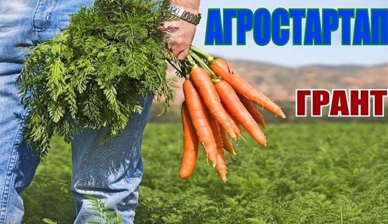 Участников «Агростартапов» в Калужской области поддержат миллионом