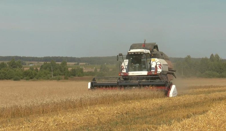 Сезон не провален