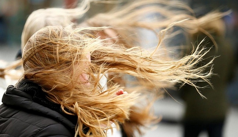 В Калужской области грядет шквалистый ветер