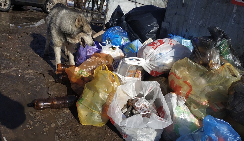 В Калужской области единороссы обсудили проблемы обращения с отходами