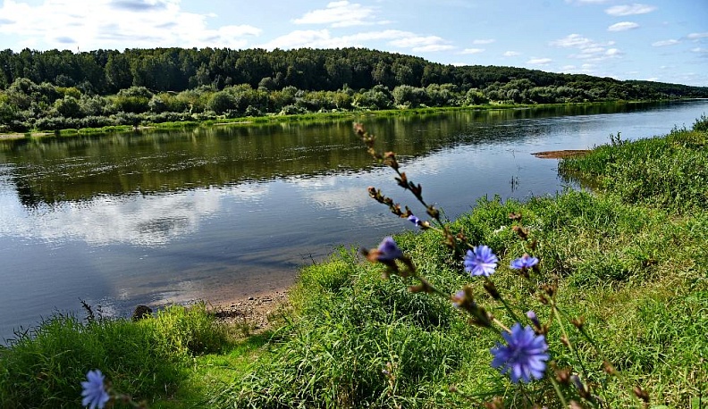 Попали в красный переплёт