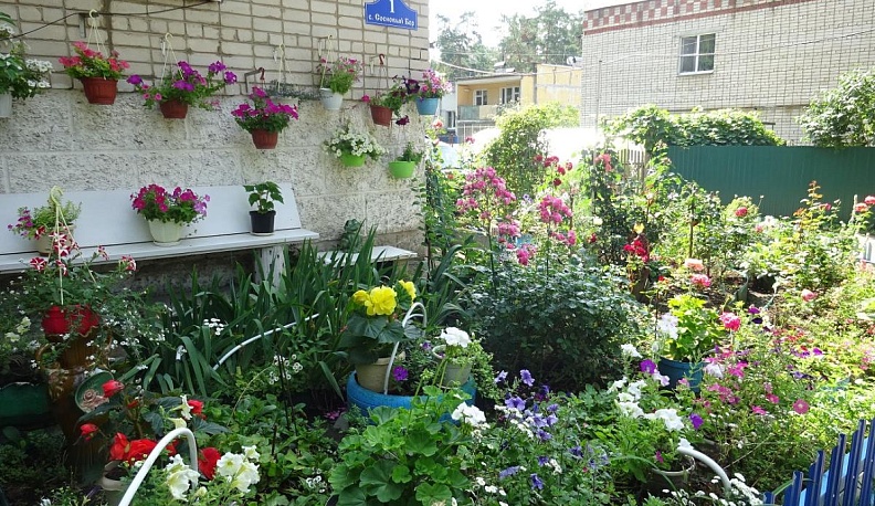 Красота всегда желанна