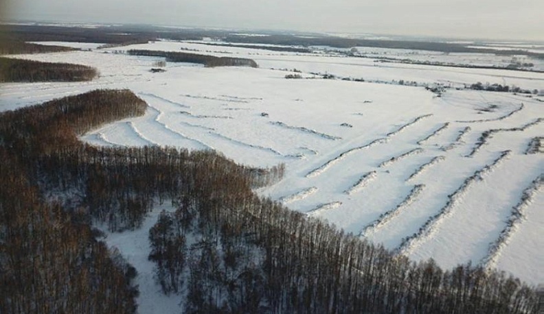 У земледельцев каникул не бывает