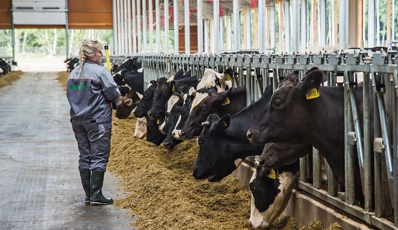 Калужская область продолжит сотрудничать с компанией «Мираторг»