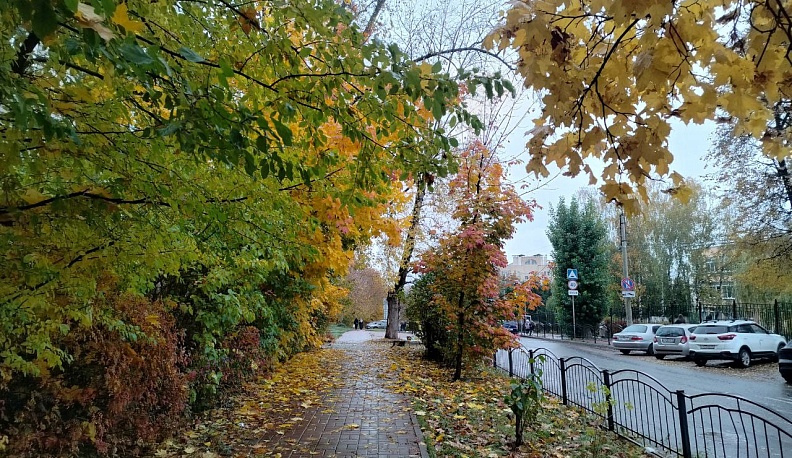 В Калуге продолжают лить дожди