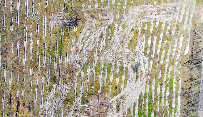 К 75-летию Великой Победы в Жиздре высадили «Сад Памяти» К 75-летию Великой Победы.  В Жиздре высадили «Сад Памяти» 