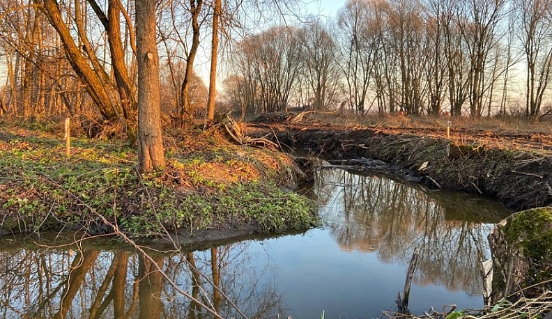 Калужская область сохранила 9 место в Национальном экологическом рейтинге по итогам осени