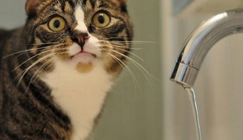 В центре Калуги завтра не будет воды