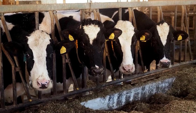 На пути к калужскому миллиону