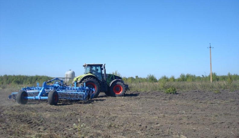 В Калужской области на 14 % увеличили площади посевов яровых зерновых культур
