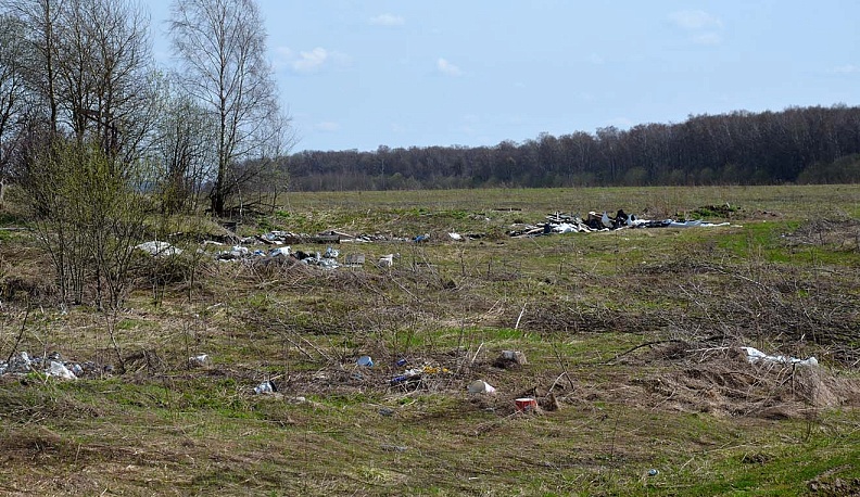 Снег сошёл,  остался мусор