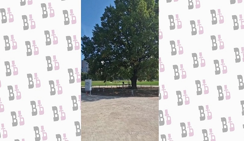 В Обнинске благоустроили площадь перед Домом ученых