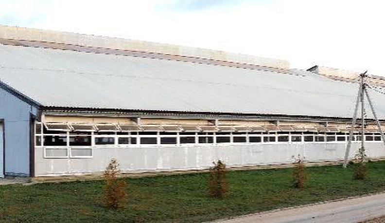 Первая и тридцать седьмая