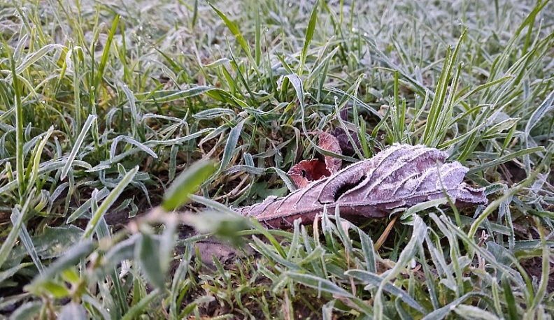 В Калужской области продолжат держаться заморозки