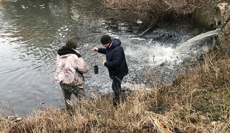 Как спасти протву?