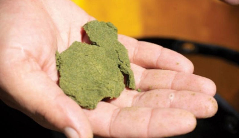 Жители Калуги хранили 87 граммов гашиша