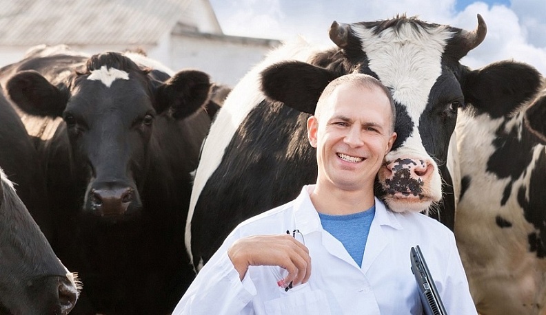 В 2024 году 260 молодых калужских специалистов сельхозпроизводства получили выплаты